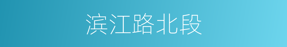 滨江路北段的同义词