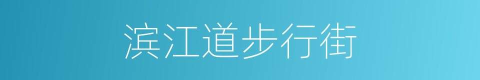 滨江道步行街的同义词