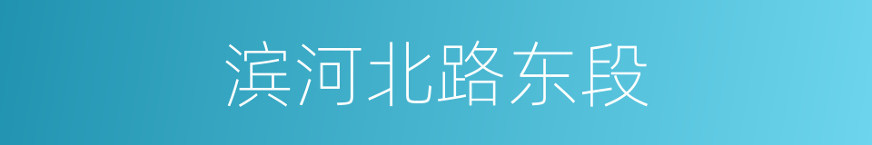 滨河北路东段的同义词
