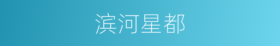 滨河星都的同义词