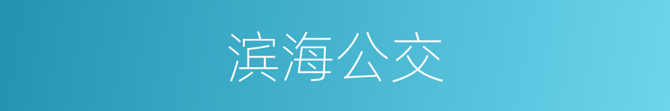 滨海公交的同义词