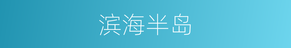滨海半岛的同义词