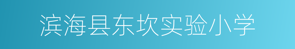 滨海县东坎实验小学的同义词