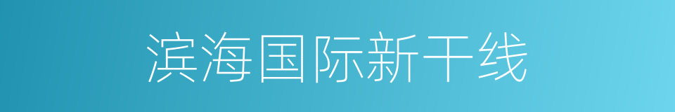 滨海国际新干线的同义词