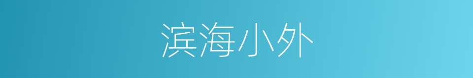 滨海小外的同义词