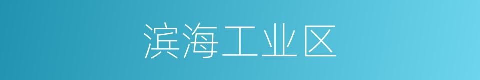 滨海工业区的同义词