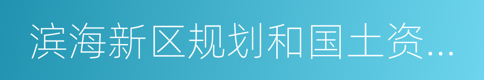 滨海新区规划和国土资源管理局的同义词