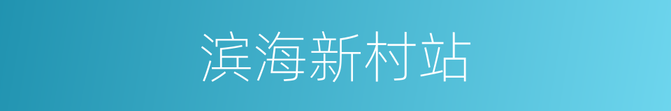 滨海新村站的同义词