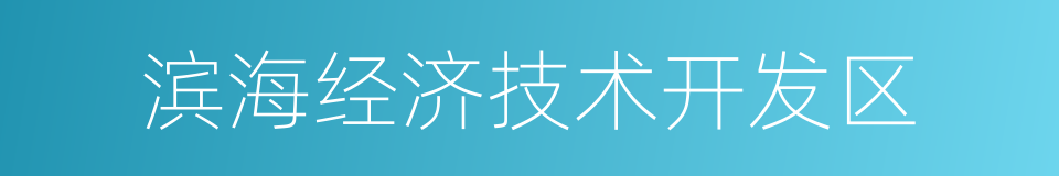 滨海经济技术开发区的同义词