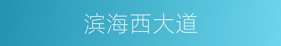 滨海西大道的同义词