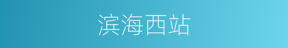 滨海西站的同义词