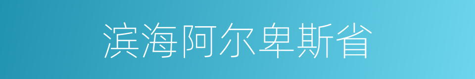 滨海阿尔卑斯省的同义词