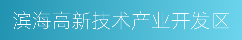 滨海高新技术产业开发区的意思