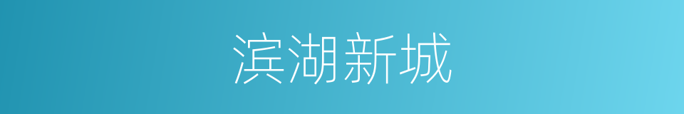 滨湖新城的同义词