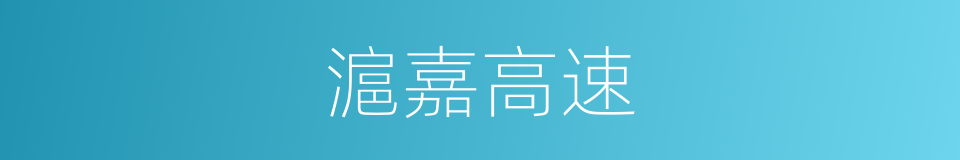 滬嘉高速的同義詞