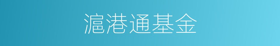 滬港通基金的同義詞