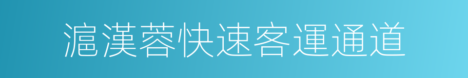 滬漢蓉快速客運通道的同義詞