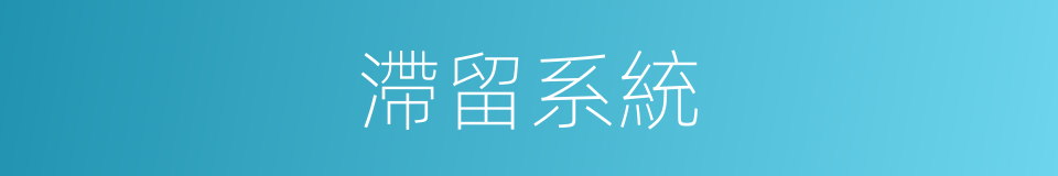 滯留系統的同義詞