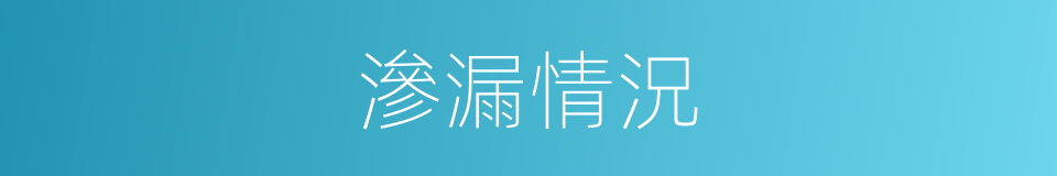 滲漏情況的同義詞