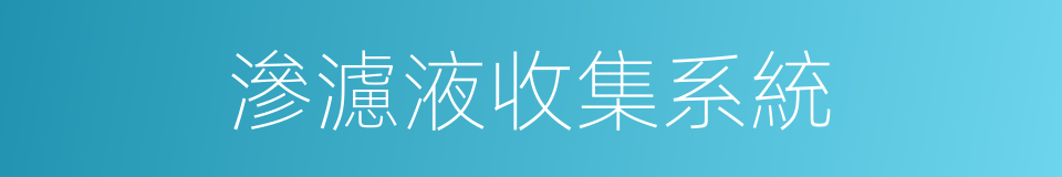 滲濾液收集系統的同義詞