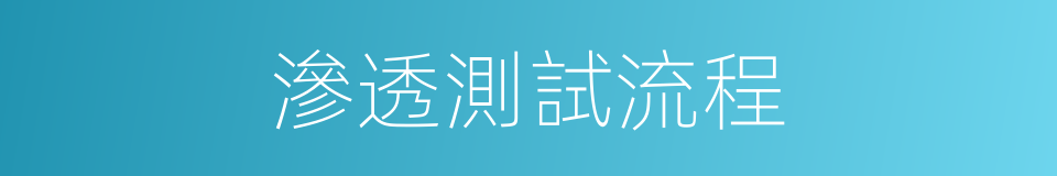 滲透測試流程的同義詞