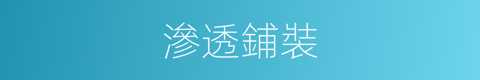 滲透鋪裝的同義詞