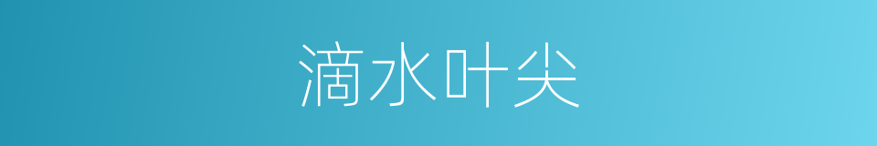 滴水叶尖的同义词