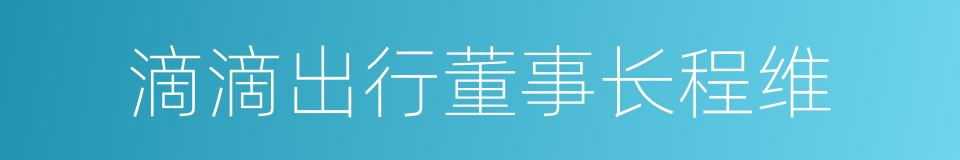 滴滴出行董事长程维的同义词