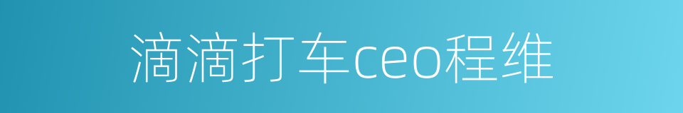 滴滴打车ceo程维的同义词