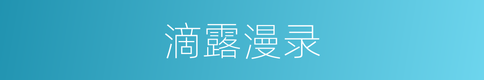 滴露漫录的同义词