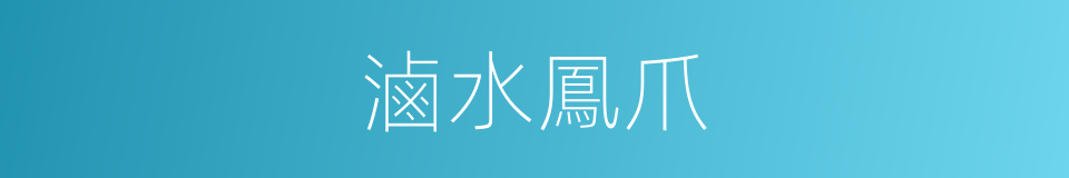 滷水鳳爪的同義詞