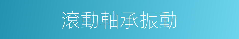 滾動軸承振動的同義詞