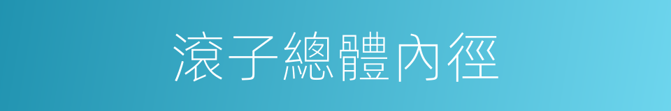 滾子總體內徑的同義詞