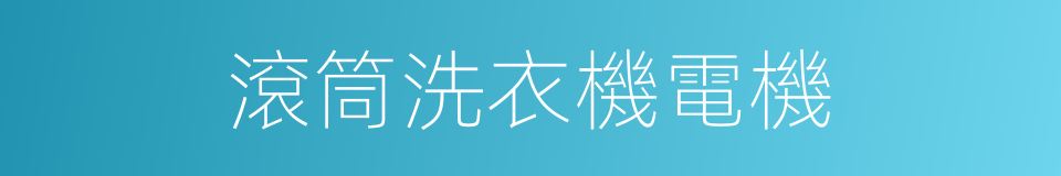 滾筒洗衣機電機的同義詞