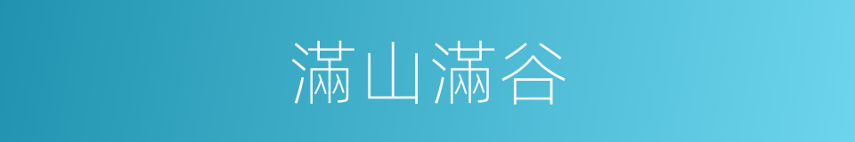滿山滿谷的意思
