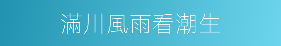 滿川風雨看潮生的同義詞