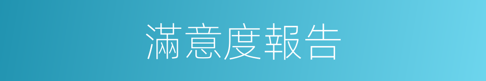 滿意度報告的同義詞