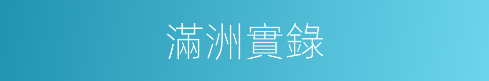 滿洲實錄的同義詞