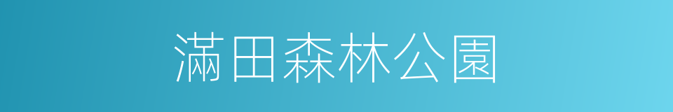 滿田森林公園的同義詞