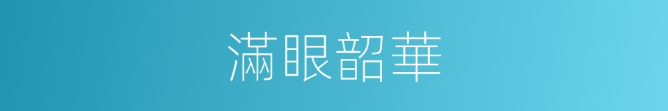 滿眼韶華的意思