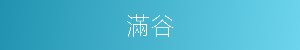 滿谷的同義詞