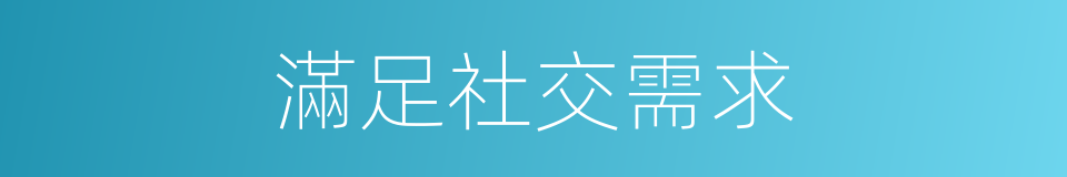 滿足社交需求的同義詞