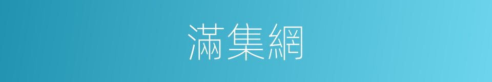 滿集網的同義詞