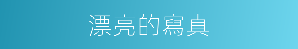 漂亮的寫真的同義詞