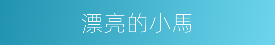 漂亮的小馬的同義詞