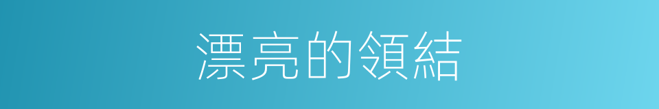 漂亮的領結的同義詞