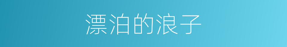 漂泊的浪子的同义词