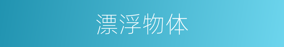 漂浮物体的同义词