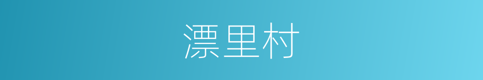 漂里村的同义词