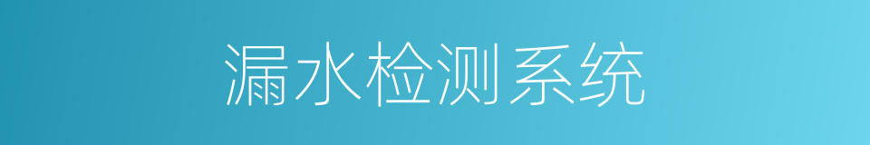 漏水检测系统的同义词